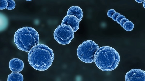 Allarme Meningite: Nuovo caso a Legnano e vaccino a prezzo scontato