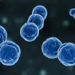 Allarme Meningite: Nuovo caso a Legnano e vaccino a prezzo scontato