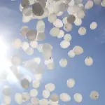 Matteo Melaragni, ieri i funerali, centinaia di persone alle esequie a Cassino