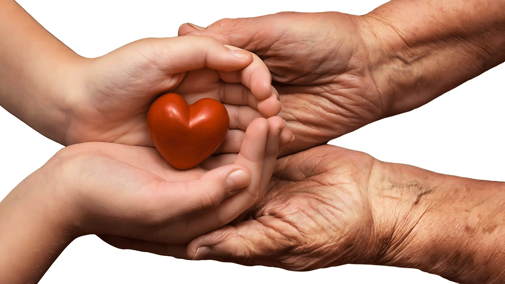 L'appello per salvare Giorgia: serve urgentemente un donatore