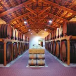 Cantine Aperte 2016, 24esima edizione da Nord a Sud dello Stivale