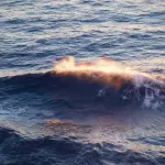 Robot acquatico per ricerche archeologiche ad Oristano, esperimento unico in Europa