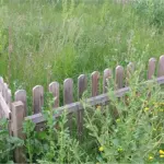 L'asilo nido di Frosinone che è in mezzo alle sterpaglie