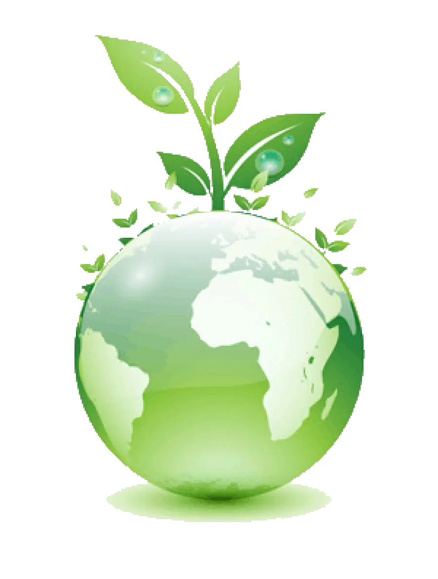 Eco Quiz, oggi le premiazioni nel comune di Anagni