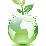 Eco Quiz, oggi le premiazioni nel comune di Anagni