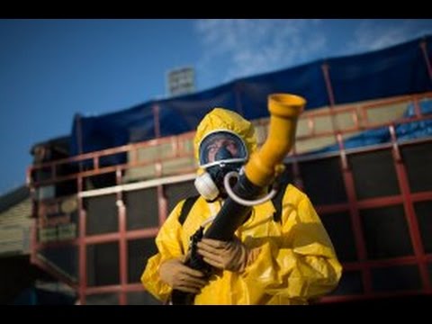 Virus Zika: tutti i rischi per le gestanti, dalla microcefalia ai danni cerebrali