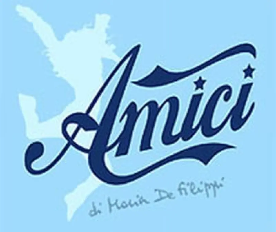 Amici 15, Stefano De Martino si commuove