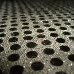 Che cosa è la tripofobia: la paura dei buchi