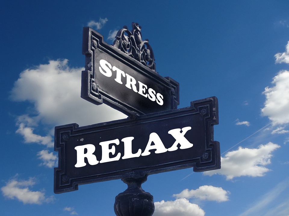 Lo stress fa bene al cervello, buona notizia per chi ha troppi impegni