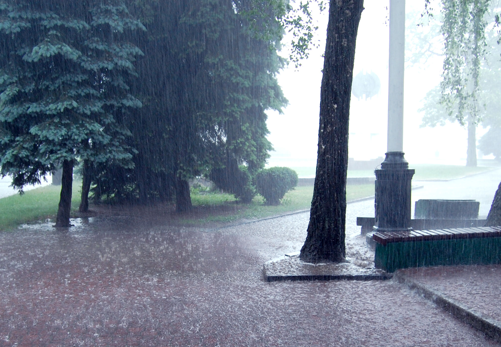 Meteo Frosinone, in arrivo giornate di pioggia